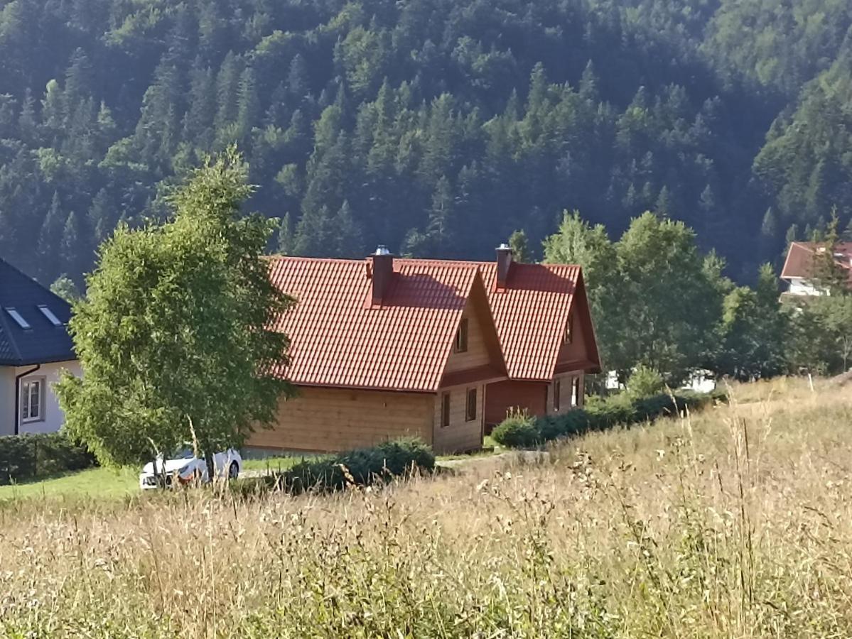 Pod Honem W Cisnej Holiday home